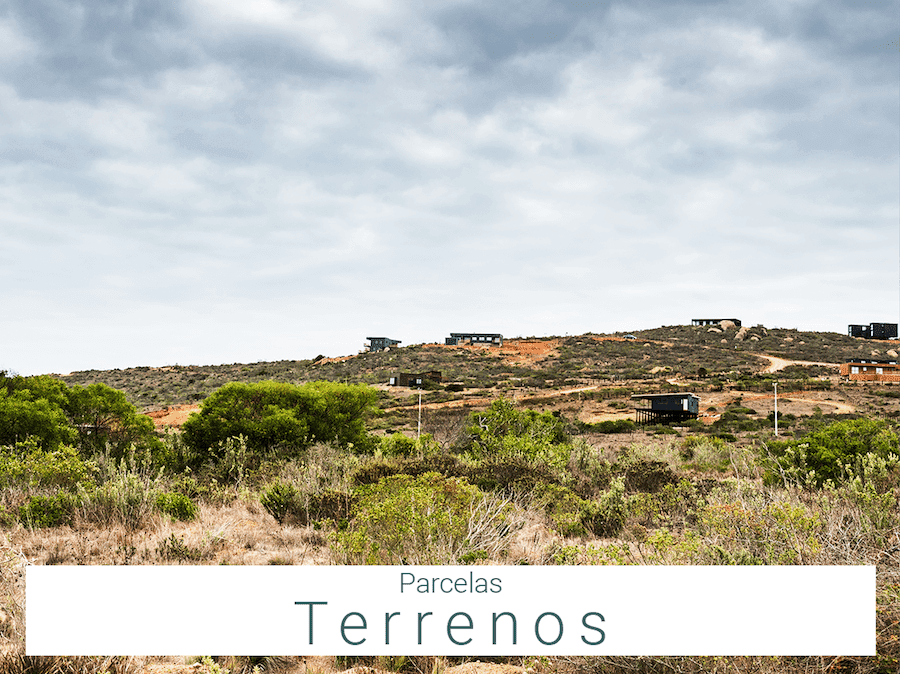 Terrenos